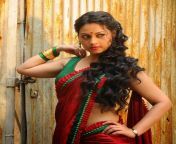 fa19b39fd7a0e4003c9c3d8212d1047e.jpg from tamil actress pooja umashankar sexy vi