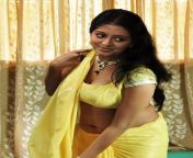 f2574b1fbcafe8f49d4043e5ae041fee indian girls indian actresses.jpg from srinisha tamil actress saree removal in pathinettan kudi movie