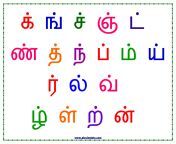 c9ea859abb3f8a33108a4d10617794e6.png from tamil 18 a