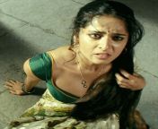 460919dad01e01562df9f21535395255.gif from south indian actresess gif animated images 7c hot saree actress hd
