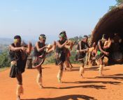 6890aee16fa93eb70cf2302b5dc335c3.jpg from beautiful traditional african zulu dancing