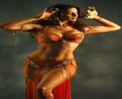 209e062cb68a614e0c333e8bfdd3b919.jpg from hot arabic belly dance erotic