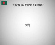 hqdefault.jpg from bengali brother si