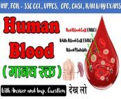 maxresdefault.jpg from blood hindi