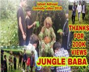 maxresdefault.jpg from jungle adivasi video