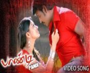 mqdefault.jpg from tamil movie pandi sex video download sex zo