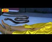 hqdefault.jpg from snake sex girln desi bhojpuri nude arkestra videoadeshi actress popy xxxxxx videonny leo