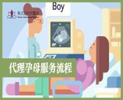 maxresdefault.jpg from 上海代孕服务哪里做比较好电话19123364569上海代孕服务哪里做比较好上海代孕服务哪里做比较好 1228y