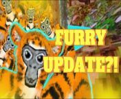 maxresdefault.jpg from new update of furry game naughty rabbit beta