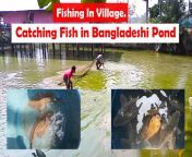 maxresdefault.jpg from bangladeshi pond gusol video neighbor hidden cam