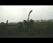 hqdefault.jpg from patgram lalmonirhat bangladesh sex video