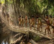 threatened amazon awa family hunt 16x9.jpg from forest nude family
