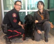 hawk the trauma dog with his handlers.jpg from sex dogs and