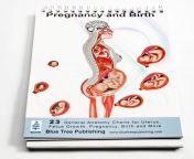il 1080xn 3444771974 lfq3.jpg from birth anatomy of love and sex radanje anatomija ljubavi i seksa aka sex pregnancy birth