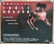 s l1600.jpg from bruce lee video