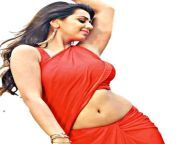 xd9rvk4.jpg from tamil actress nikki galrani fucking jpg