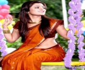 nisha agarwal sexy saree navel 1 jpgw790 from actress nisha agarwal sex