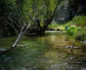 fly fishing in the utah indian lands jpgfit720479ssl1 from indian ut