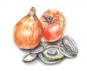 day 17 my dad always liked onions jpgfit1024713ssl1 from onion and dad