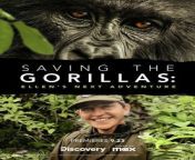 saving the gorillas 20230913 webpresize555824ssl1 from next» dian