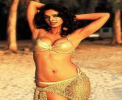 mallika sherawat jpgfit9971246ssl1 from mallika sherawat boobs nude with ompu