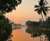 sunrise on the backwaters.jpg from kerala 18