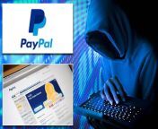 0 main the fake paypal emails that can steal your cash in one click the warning signs and how to report ed.jpg from cash games paypal【555br org】 vwg