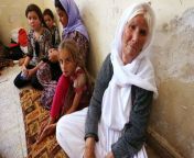 0 an iraqi yazidi family that fled the violence in the northern iraqi town of sinjar.jpg from İraqi
