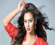 nusrat faria bangladeshi actress hd photo wallpapers 29 jpgw753ssl1 from bangladeshi model nusrat faria sex videoÃ¯