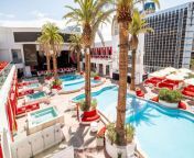 the best dayclubs and pool parties in las vegas fo jpgtrw 1008h 567fo auto from club pool party