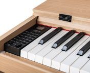 free sample musical piano full weighted piano keyboard midi electronic bluetooth digital piano.jpg from pan piano 優良