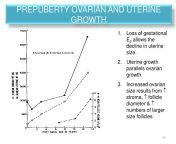 prepuberty ovarian and uterine growth n.jpg from prepuberty