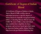 certificate of degree of indian blood l.jpg from virgin indian bloodchool gi