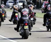 most dangerous biker gangs rebelsfimg ssr default from sex bike vs pg gang