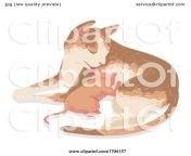 cat kitten breastfeeding illustration 10241704157.jpg from breastfeeding cat petsex com siterip