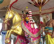 rangnath dashahra 1 1634301824.jpg from बड़े नितंब भारतीय फूहड़ सवारी मुर्गा
