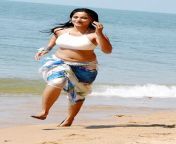 5anushka shetty is the perfect bikini babe.jpg from anushka shetty latest hot photos from singam 2 stills images pics 1 jpg