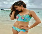 2taapsee pannu posts some stunning bikini photos on instagram.jpg from tapsi sex photoes