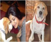 shilpa shetty with her dog princess.jpg from xxx silpa setty bf com 3gp