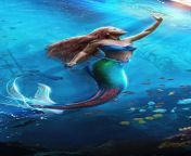 ariel the little mermaid movie 6t 1125x2436.jpg from litell marmed