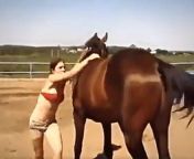 horse help woman sit on it video 1.jpg from जानवर लडकी सेकसी बिड