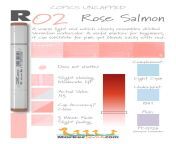 learn more about r02 rose salmon copic marker we swatch and test copic colors layering staining lift value lightfastness saturation and cap accuracy | markernovice com | copicmarker howtocolor swatch from r02