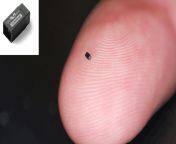 this is the worlds smallest video camera and its the size of a grain of sand.jpg from smallest