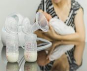 shutterstock 291331904.jpg from pumping extra milk while