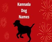 kannada dog names pngstripalllossy1resize662348ssl1 from kannada dogs