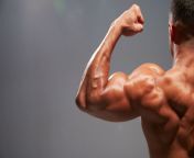 how to build bigger biceps best 5 exercises for big impressive biceps.jpg from big bice