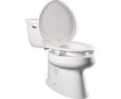 white toilet seats e85320tss 000 64 600.jpg from toilet 3g