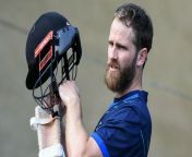 new zealand captain kane williamson will feature in odi world cup 2023 clash against bangladesh.jpg from bd bangla kane