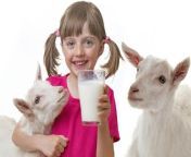 goat milk 1562049130.jpg from बकरी के बच्चों को दूध पिलाती है ये कुतिया