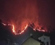 forest fire uttarakhand hospital oxygen plant burnt helicopter help extinguish fire 10 big updates 1714191645.jpg from कि आग न